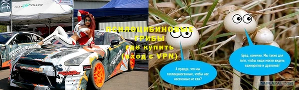 спиды Коряжма