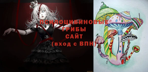 спиды Коряжма