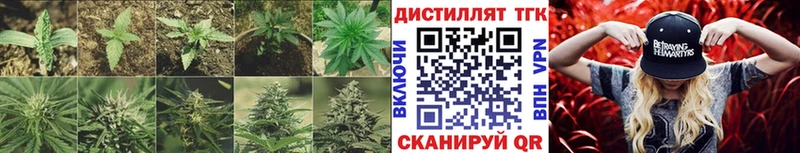 Дистиллят ТГК Wax  MEGA ONION  Новоульяновск 