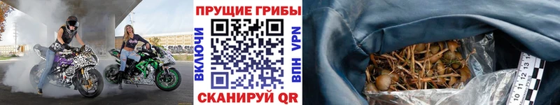 Псилоцибиновые грибы ЛСД  Новоульяновск 